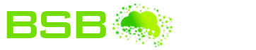 BSB Data And Information Processing Services Private Limited